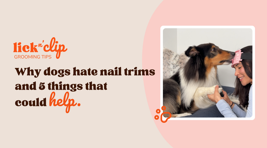 Why Dogs Hate Nail Trims (And 5 Things That Could Help)